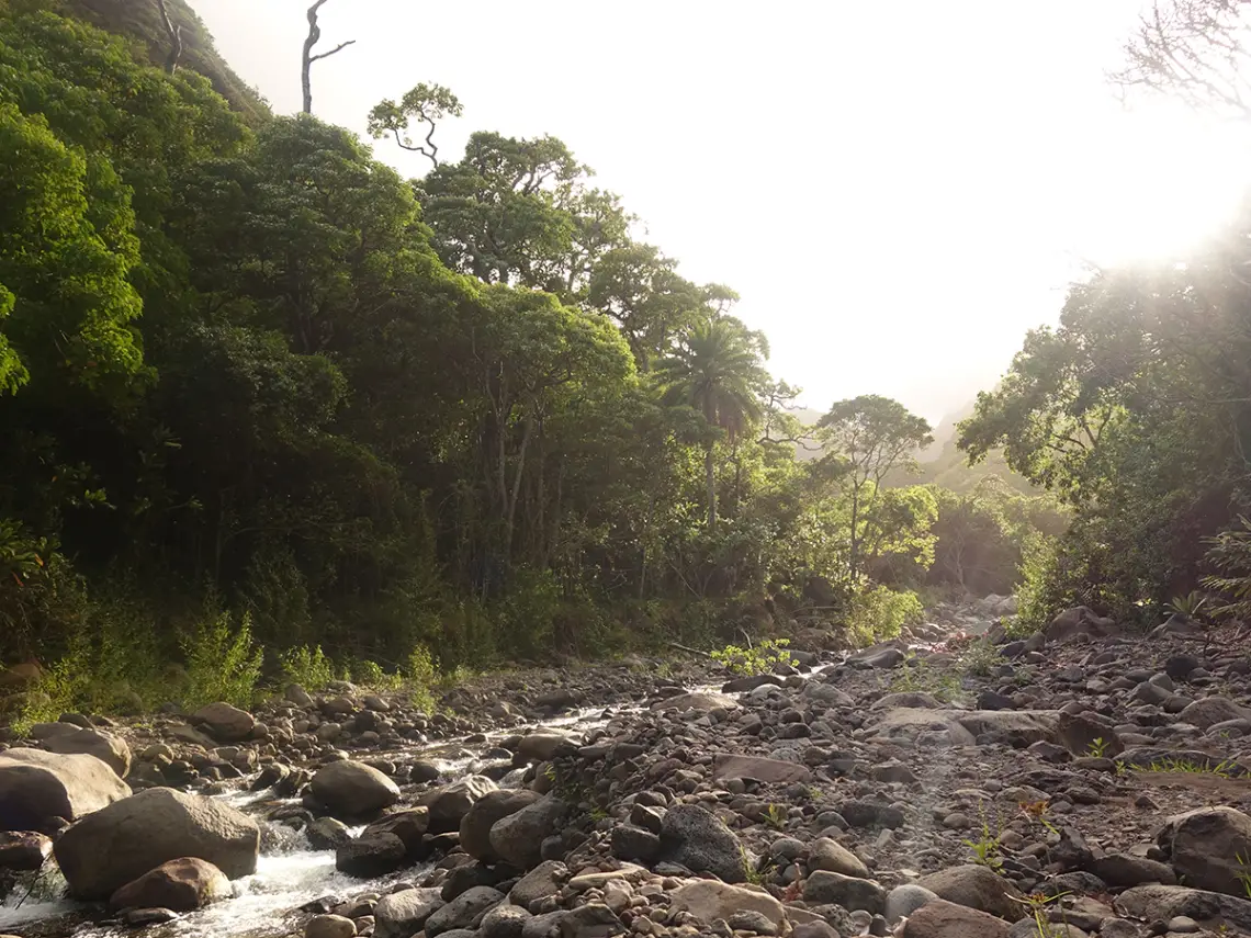Weltreise Sarah & Thomas - Hawaii